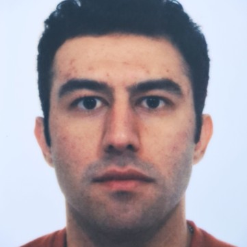Seyedali Hosseini
