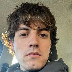 Michele Belotti