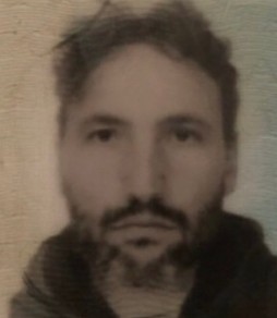 marco gualtieri