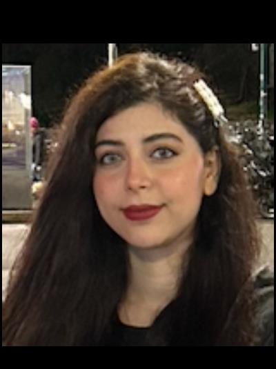 MINA BOROUMANDI