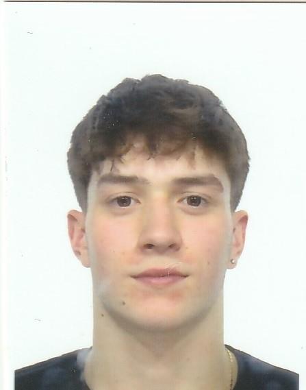 Mirco Zemin