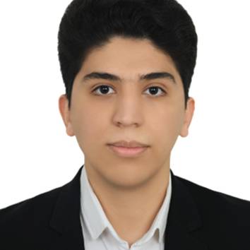 Mohammad Erfan Efatinasab