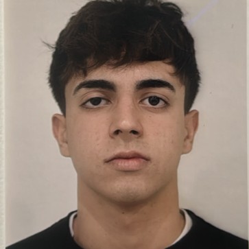 Davide Memoli