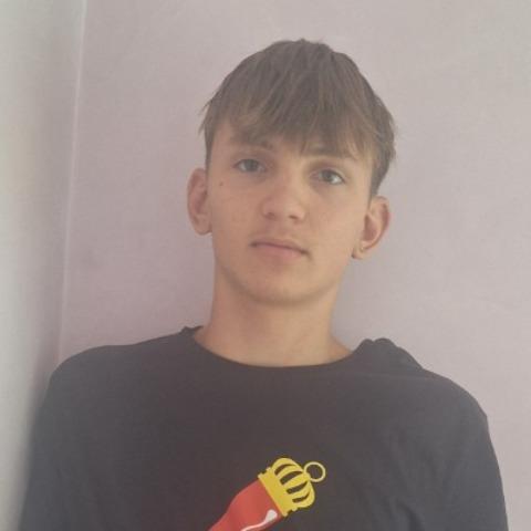 DENIS TOFAN