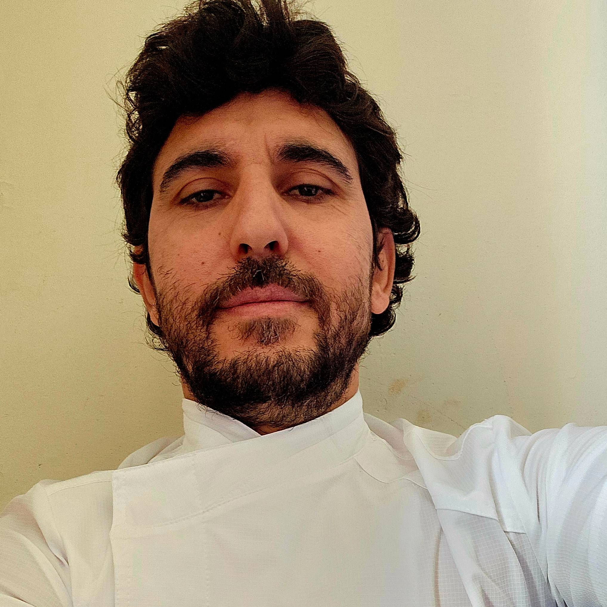Alaa Safadi