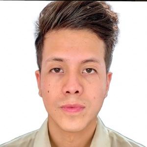 Raul Mario Moncayo Michilena