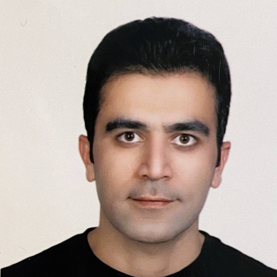 Hossein Rajaei