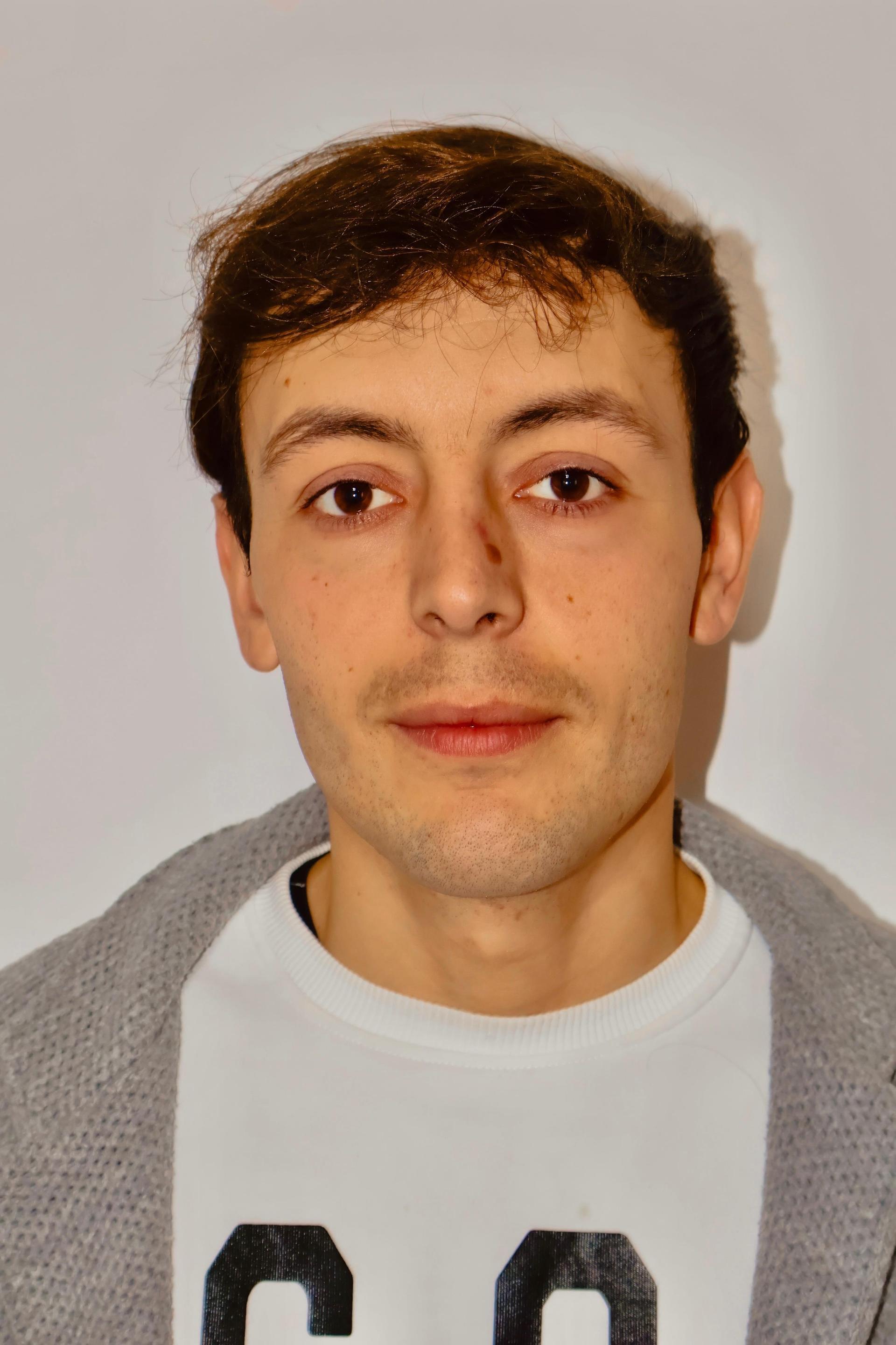 Daniele Iulini